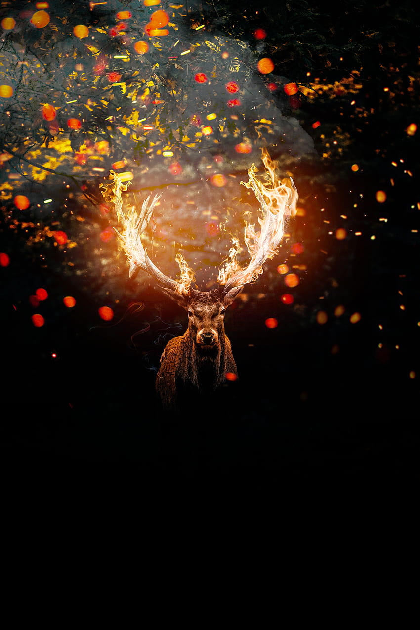 사슴, 불에 뿔, 총구, 예술 HD 전화 배경 화면