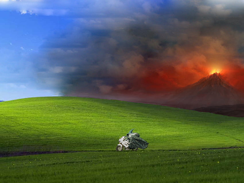 Gandalf Bliss - Windows Xp, Windows XP Grass HD wallpaper