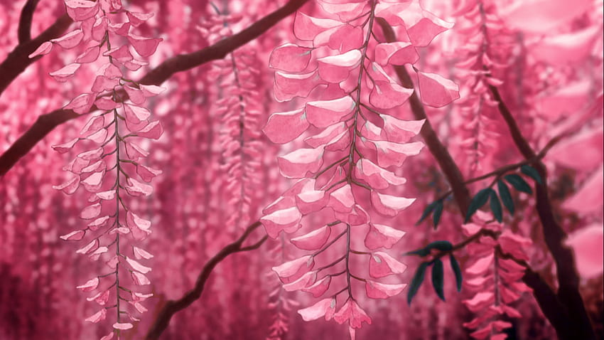 Pink Wisteria Flower. iPhone vintage, Pink aesthetic, Aesthetic anime, Demon Slayer Flower HD wallpaper
