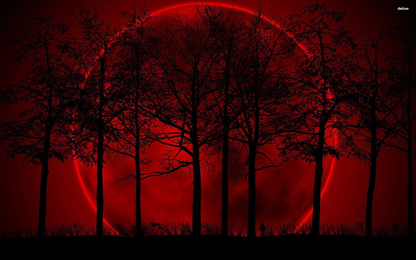 Dark Red Moon, Blood Moon Wolf HD wallpaper