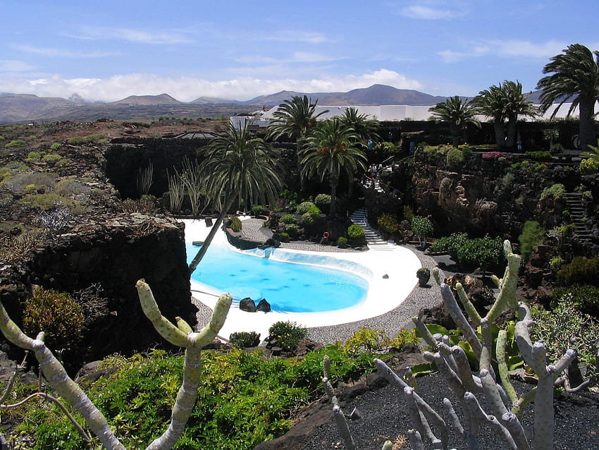 forests, Deserts, Lanzarote, Manrique, Poolside , Desert Forest HD wallpaper