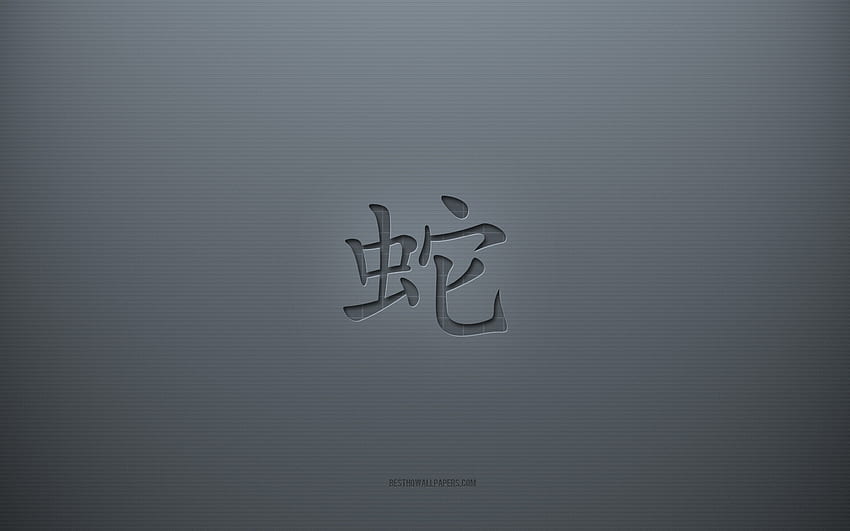 Snake Kanji Symbol, gray creative background, Snake Japanese character, Japanese hieroglyphs, Snake, Kanji, Japanese Symbol for Snake, gray paper texture, Snake hieroglyph HD wallpaper