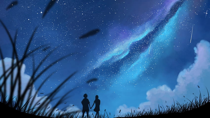 Couple, love, holding hands, outdoor, night, silhouette HD wallpaper