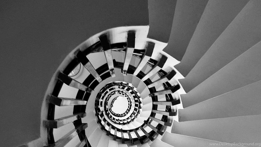 Fibonacci Golden Ratio Monochrome Spirals Stairways HD wallpaper
