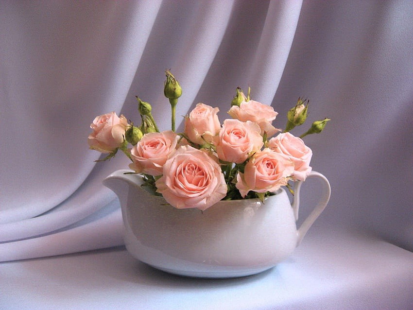 Spring pinks, Sweetheart roses, pink, white, flowers HD wallpaper