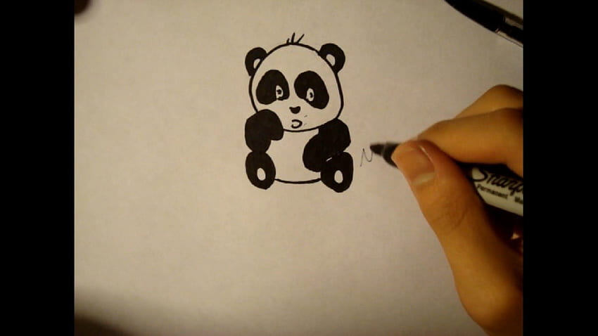 How To Draw Baby Panda. Cute Panda. Step By Step Tutorial, Small Cute Cartoon Panda HD wallpaper