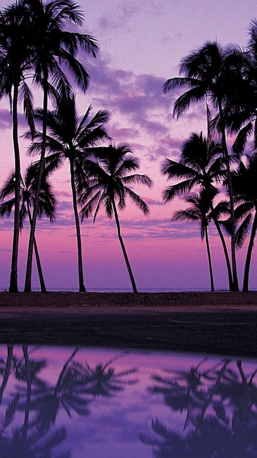 Free download iPhone 5 Sunset Palm Tree Sunset Palm Tree 640x1136 for  your Desktop Mobile  Tablet  Explore 49 Palm Tree iPhone Wallpaper  Palm  Tree Backgrounds Palm Tree Wallpapers Palm Tree Beach Wallpaper