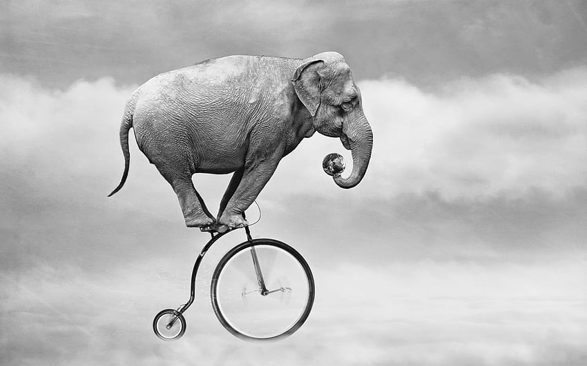 Elephant ride bike, sky, ball, creative design, Elephant Abstract HD wallpaper