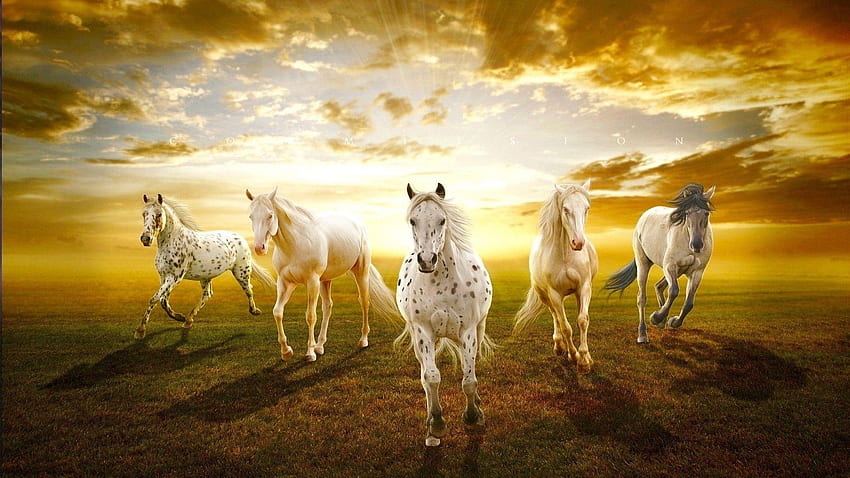 Seven Horses 7 para Android, Cavalo Mustang papel de parede HD