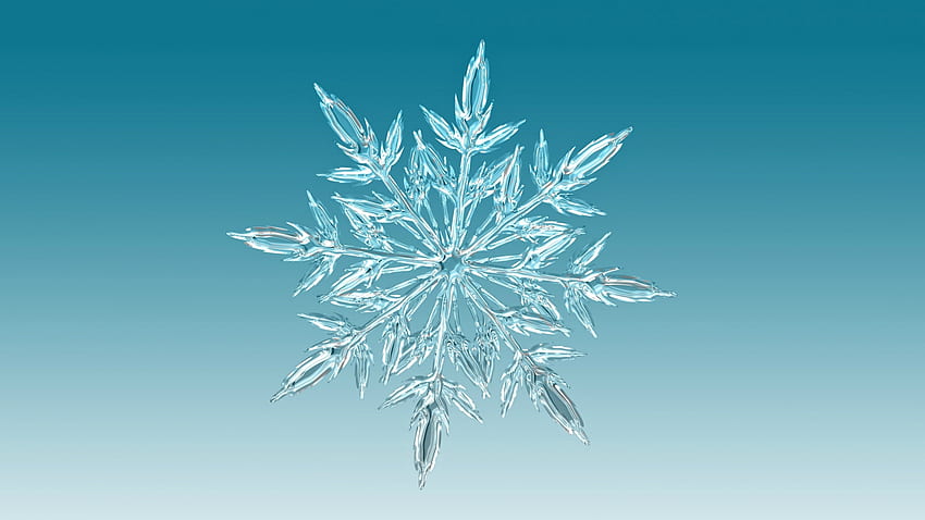 Snowflake, winter, blue, snowflakes, white HD wallpaper