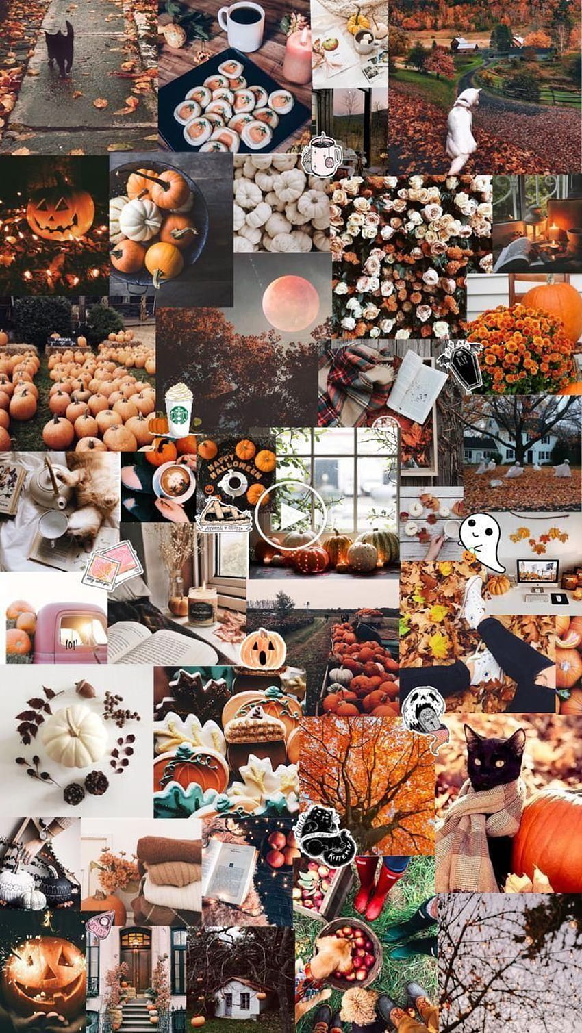 estetico autunno / Halloween - Sfondo del telefono HD