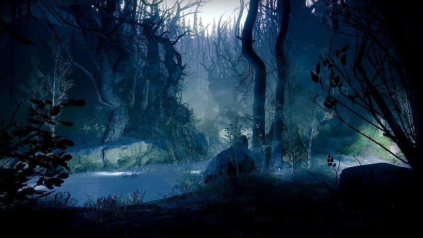 The Dark Forest - (Destiny 2) - [Live ], Dark Jungle Anime HD wallpaper
