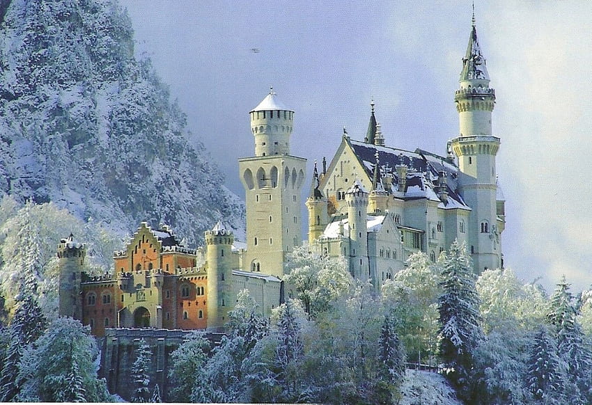 冬のノイシュヴァンシュタイン城、冬、ドイツ、ノイシュヴァンシュタイン城、森 高画質の壁紙