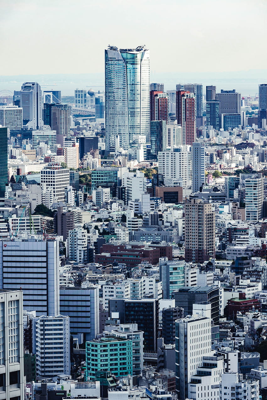 เมือง ตึกระฟ้า ญี่ปุ่น อาคาร ชินจูกุ วอลล์เปเปอร์โทรศัพท์ HD
