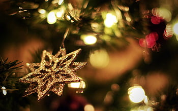 Hãy chiêm ngưỡng những cây thông Giáng Sinh cổ điển đầy phong cách và truyền thống trong hình ảnh này. Chúng sẽ mang lại cảm giác ấm áp và ấn tượng đặc biệt cho mùa lễ hội sắp đến.