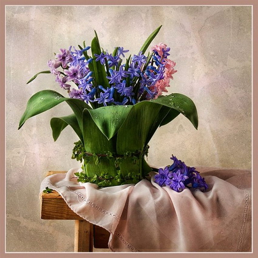 Stillleben, Tisch, bunt, Hyazinthe, Blume HD-Hintergrundbild