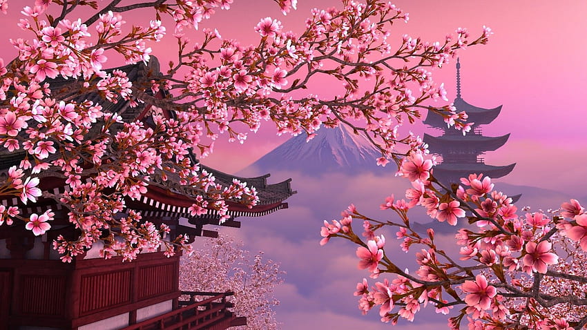 Flor de cerejeira japonesa 56 - Obter papel de parede HD