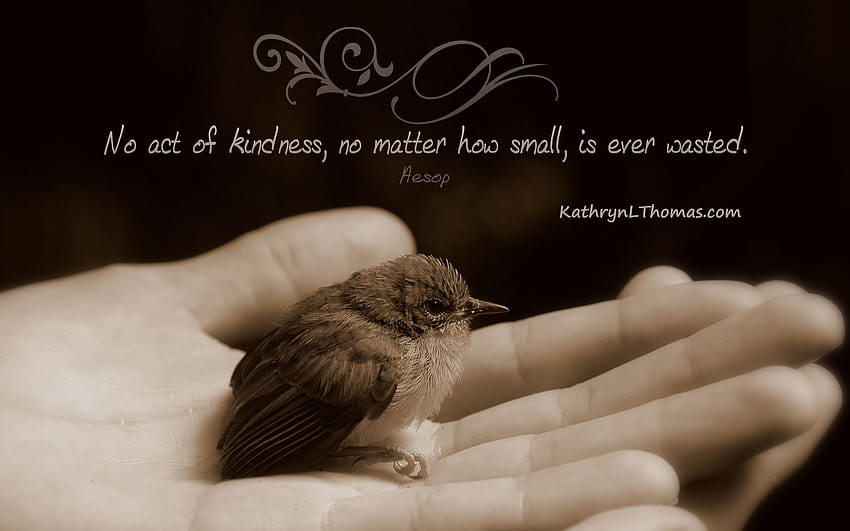 Kindness quotes HD wallpapers | Pxfuel
