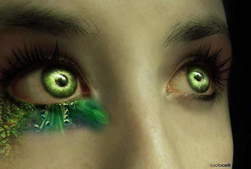 Olho verde selvagem, olho verde selvagem papel de parede HD