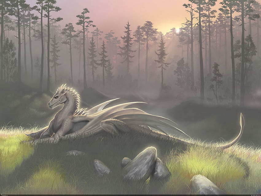Peaceful White Dragon in a meadow. Dragon , Fantasy dragon, Types of dragons HD wallpaper