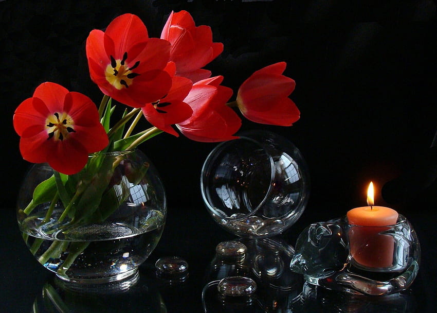 Flowers, , , Candle, Glasses, Goblets HD wallpaper