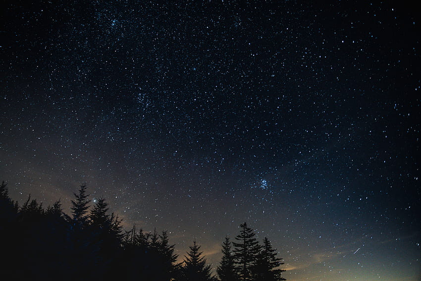 ธรรมชาติ, ต้นไม้, กลางคืน, ท้องฟ้าเต็มไปด้วยดวงดาว, ทิวทัศน์ตอนกลางคืน, ทิวทัศน์ยามค่ำคืน วอลล์เปเปอร์ HD