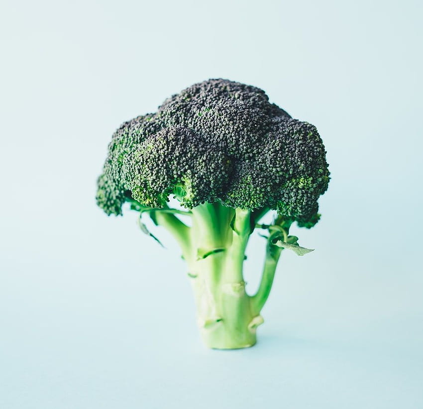 Broccoli [], Cauliflower HD wallpaper