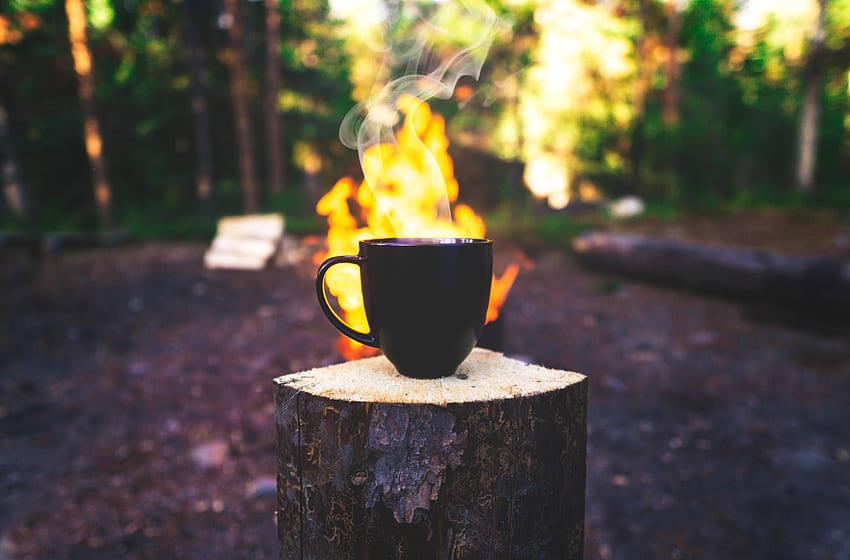 Bonfire, Miscellanea, Miscellaneous, Cup, Drink, Beverage, Steam, Camping, Camping, Mug papel de parede HD