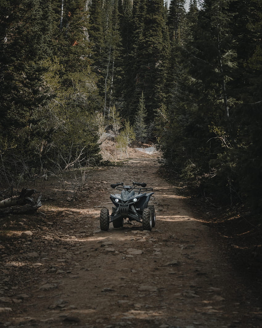 Motorcycles, Road, Forest, Extreme, Atv, Quad Bike, Wheels HD phone wallpaper