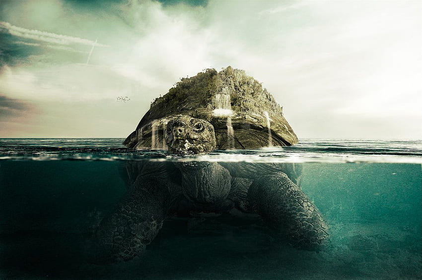 Aesthetic - Giant Sea Turtle Fantasy HD wallpaper