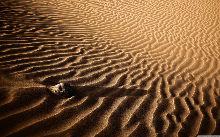 Maspalomas dunes, Gran Canaria, Spain Ultra Background, Canary Islands HD wallpaper