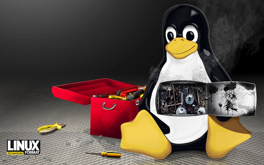 Logotipo e plano de fundo do Linux [] para seu, celular e tablet. Explore o Pinguim do Linux. Linux , Linux Tux , Linux Meninas papel de parede HD