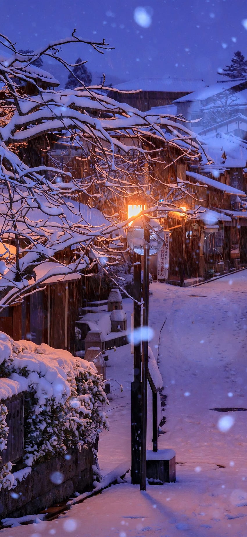 일본, 교토, 집, 눈, 나무 - Kyoto - , Kyoto Mobile HD 전화 배경 화면