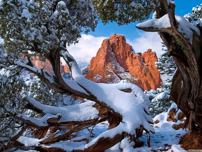Hiver, jour d'hiver, neige, arbres, montagne Fond d'écran HD