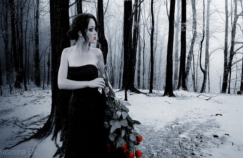 ★FINDING TRUE LOVE★, emotional, charm, finding, emo, snow, look for, trees, female, cold, eyes, forests, Dark, fantasy, pretty, face, nature, Seasons, hair, holidays, lament, silent, attractive, frosty, quiet, true, lips, Gothic, roses, dry trees, beautiful, Winter, feels, love, red roses, cool, girls, flowers, women, splendor HD wallpaper