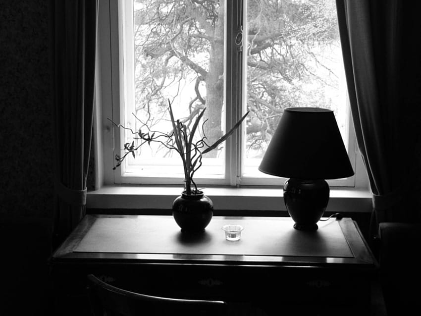 Room-the-beauty-of-black-and-white, white, black, architecture, room, windows, houses, tree, light, flower HD wallpaper