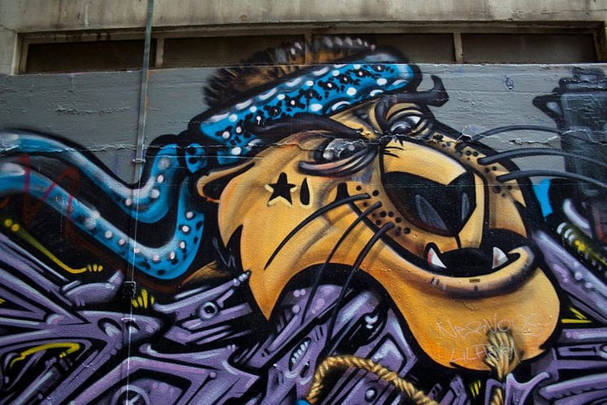 graffiti art, lion, abstract, art, graffiti HD wallpaper