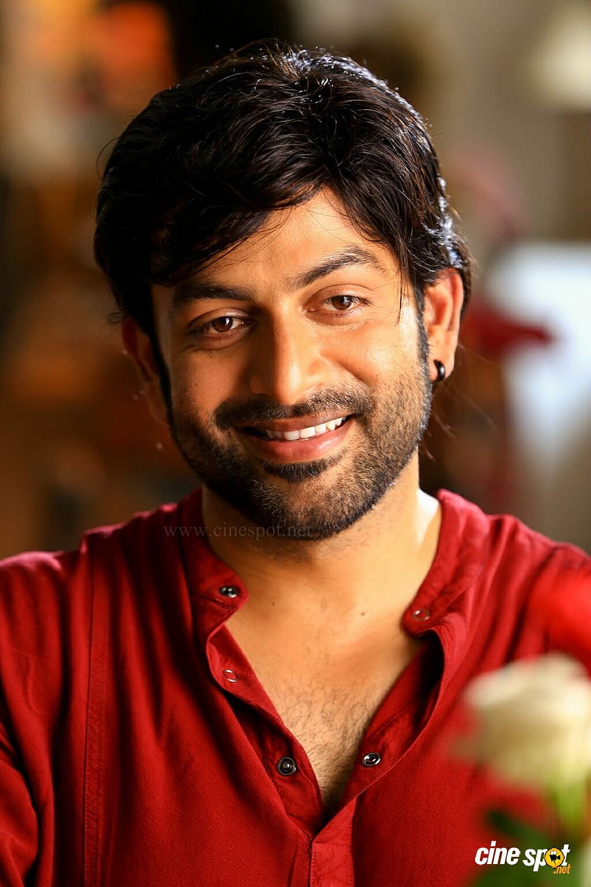 Prithviraj Sukumaran in James & Alice (1) HD phone wallpaper