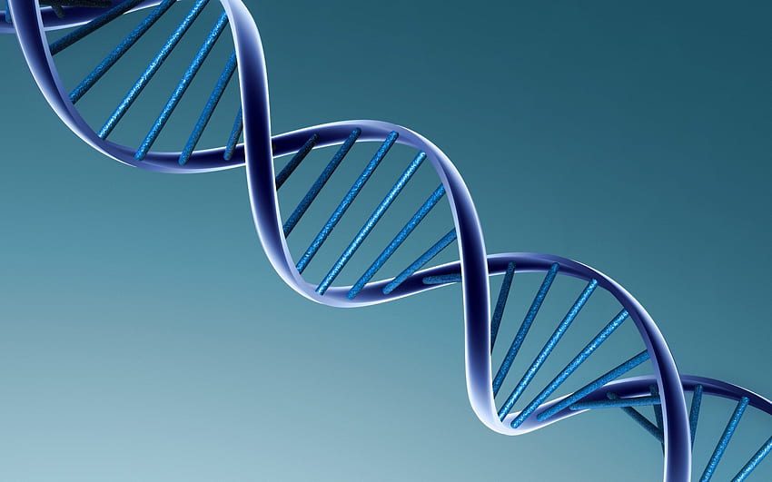 dna structure. Dna, Genetics, Double helix HD wallpaper