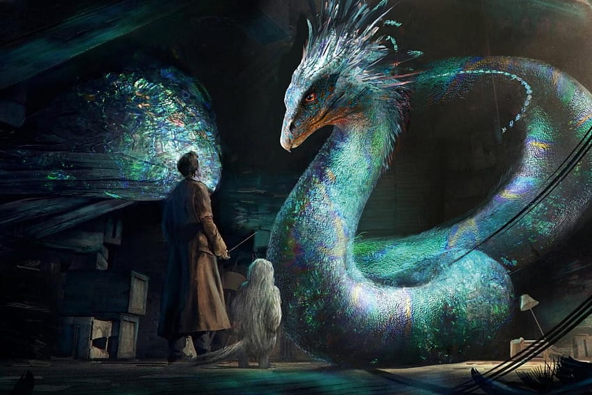 fantastic beasts and where find them for computer, Fantastic PC HD wallpaper