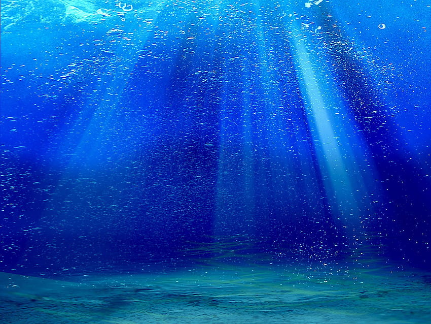 깊고 푸른 바다에서 아무 생각 없이 헤엄친다. 푸른 바다, 수중 배경, 깊고 푸른 바다, Deep Blue Ocean HD 월페이퍼