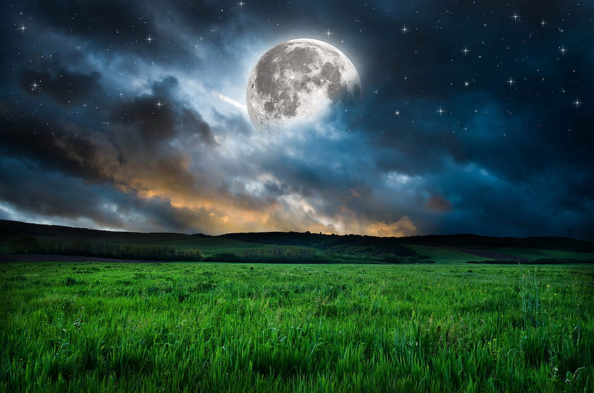 dream, fantasy, grass, landscape, mood, moon, nature, night, stars, Night Mood HD wallpaper