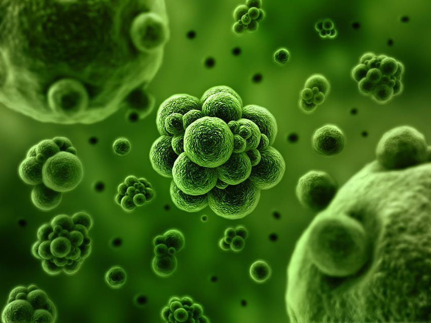 Bacteria, & background - Elsetge HD wallpaper