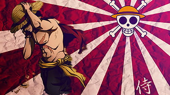 One Piece Gif Wallpapers  Top Free One Piece Gif Backgrounds   WallpaperAccess