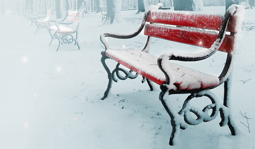 Winter, bench, snowy, winter splendor, snow, alley, nature, splendor, winter time HD wallpaper