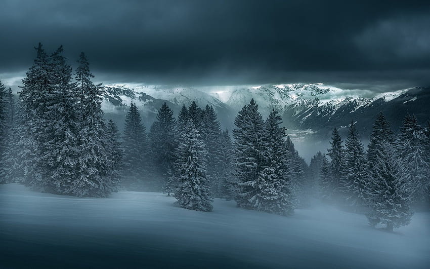 Noite de inverno, floresta, árvores, montanhas, neve papel de parede HD