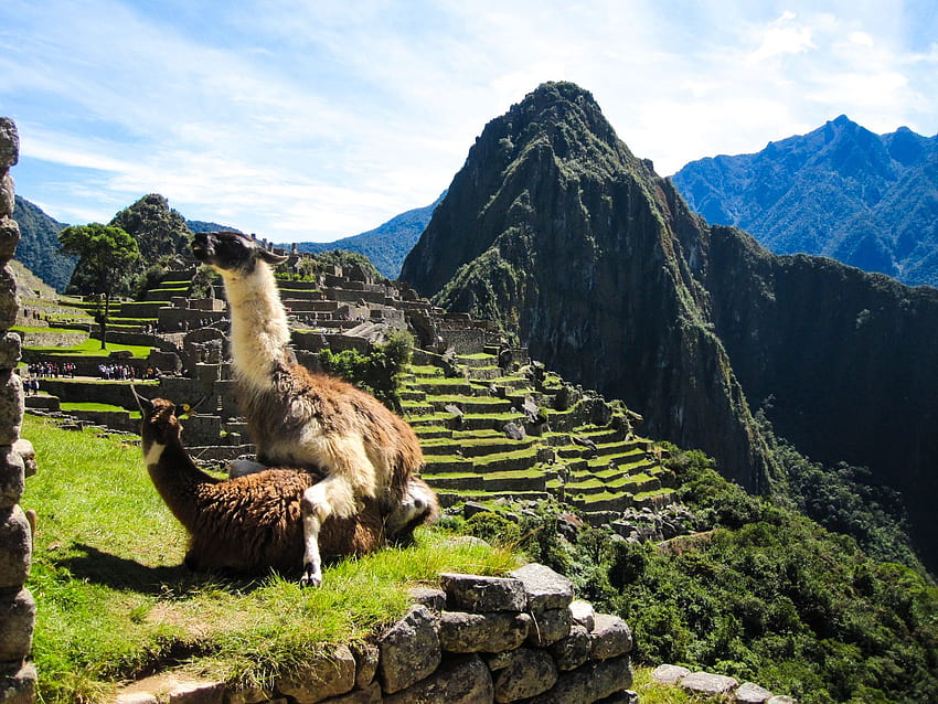 Machu Picchu, Machu Picchu Sunset HD wallpaper | Pxfuel