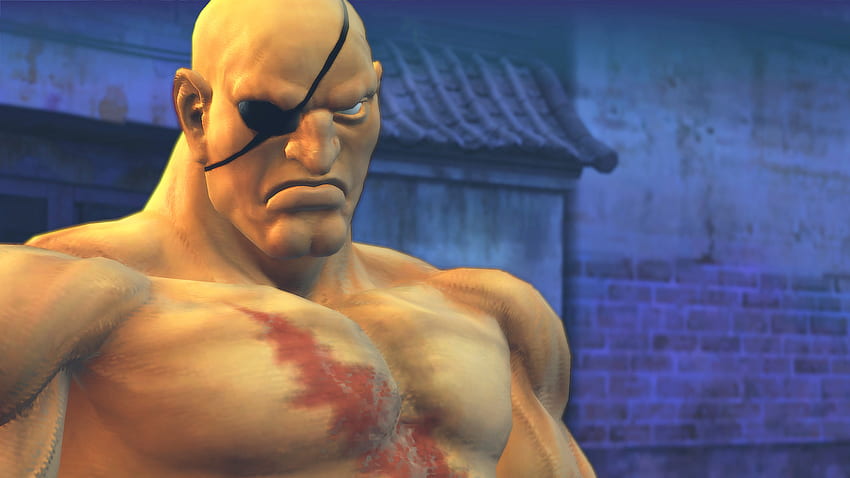 Sagat, screenshot, super street fighter 4, ssf4, game HD wallpaper