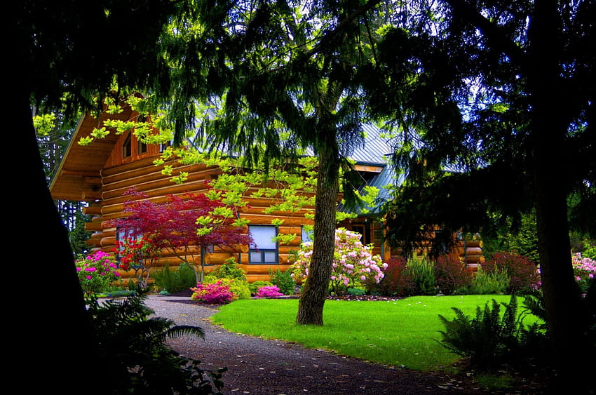 Drewniany dom, drewniany, miejsce, cichy, spokojny, ładny, cichy, drzewa, spokój, lasy, dom, piękny, trawa, kabina, chata, natura, chata, śliczny, las, wieś Tapeta HD