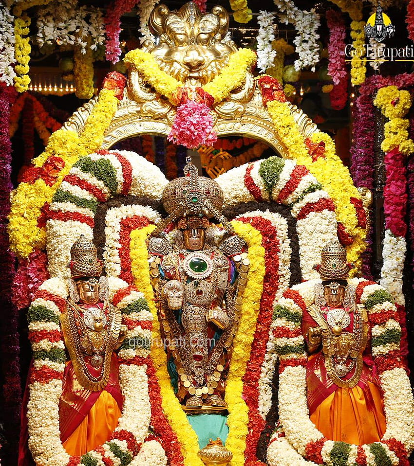 Bhudevi Sridevi mit Lord Venkateswara Swamy - - teahub.io HD-Handy-Hintergrundbild